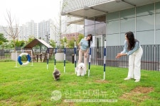 스타필드 하남, 반려견 야외 놀이터 펫파크 활짝 오픈