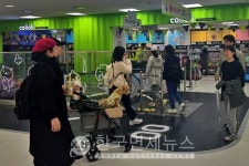 반려동물 콘텐츠 집대성...롯데마트, 콜리올리 펫타운 오픈