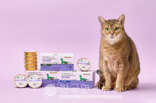 대상펫라이프 닥터뉴토, 고양이 습식 간식 미니캔 2종 선봬