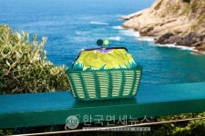 배우 애슐리 박X위크엔드 막스마라, 25SS 시그니처 컬렉션 공개