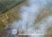 전북 남원 산불 49분 만에 진화…인명 피해 없어