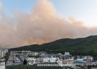[속보] 대구 함지산 산불 재발화에 국가동원령 발동... 주민 3천여명 대피 중