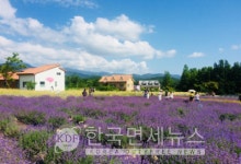 노랑풍선, '옐로팡딜' 국내 여행 특가 진행… "최저 3만원대부터 할인 혜택까지"
