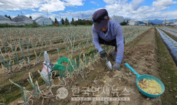 강릉시, 역대급 가뭄에 식수 비상…살수차 총동원·전방위 비상대응