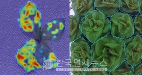 롯데이노베이트, 도시의 푸른농장에 비전 AI 접목…스마트팜 진화 가속