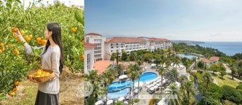 제주신라호텔, 제철 감귤∙레몬 즐기는 시트러스 제주 선봬