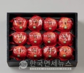 롯데마트, 설 선물 가성비에 방점… 사전예약 세트 절반 5만원 미만