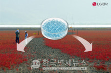 LG전자, 순천만 갯벌 복원 협력… 마린 글라스로 블루카본 확대