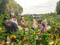 더그랜드섬오름, “그 겨울 제주 감귤 밭에서” 겨울 패키지 출시