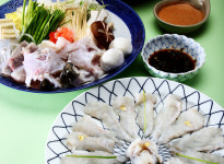 <Food> 복어 샤브샤프
