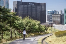 <Hotel News / 밀레니엄 힐튼 서울> ‘왈스’ 반려견 훈련사와 함께하는 ‘VIP (Very Important Pet)’ 펫 패키지 업그레이드 출시