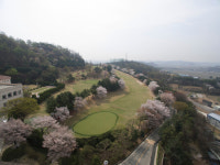 <Golf Country Club /경기 화성 라비돌 골프 컨트리클럽> 4월, 봄바람에 날리는 벚꽃잎 속에 라운딩을