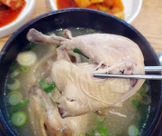 <Delicious / 변준성 기자의 식탐나들이> 성남 ‘닭 선보는 날’ 한방삼계탕