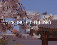 프레이저 플레이스 센트럴 서울, 여유로운 휴식과 충전을 위한 봄패키지  Spring Chilling