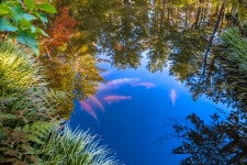 위(WE)호텔제주, #WE, FOREST 가을 이벤트 진행