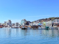 통영, 300년의 맛이 피워낸 바다의 기억