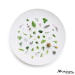 팜투테이블의 미래