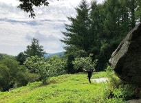 국내 힐링 여행