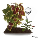 공간에 봄을 맞이하는 플랜테리어