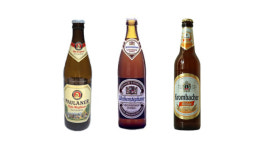 내가 즐겨 마시는 맥주는 라거일까? 에일일까? 제품으로 알아보자