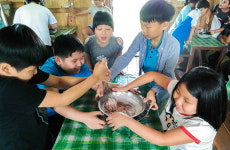 소 젖 짜기, 치즈·쿠키 만들기 등 아이와 함께 체험 할 수 있는 목장 5곳