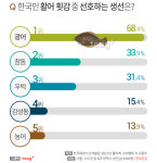 한국인 가장 좋아하는 활어 횟감 1위 광어, 활어회 좋아하는 이유?