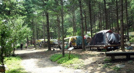 여름 성수기 국립자연휴양림 예약 신청방법과 추첨 발표일