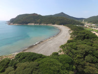 여름 휴가철에 찾아가고 싶은 완도 섬 3곳