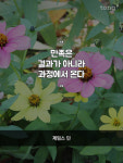 이번 주 마음한줄: 조용한 생각을 주는 명언 만족은 결과가 아니라 과정에서 온다 등