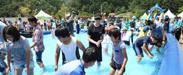 뜨거운 여름을 즐겁게, 전국에서 열리는 여름 축제