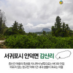 제주도의 물과 바다를 품은 조용한 농촌 마을 서귀포시 감산리…이장님이 추천한 마을 명소 6곳