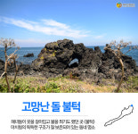 용눈이 오름과 수국으로 유명한 제주도 구좌읍 종달리…이장님이 추천한 마을 명소 6곳