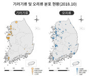 겨울 철새의 군무 장관 보러 갈까? 전국 주요 습지 80곳, 45만 5천여 마리 도래