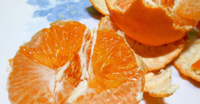 한라봉, 레드향, 천혜향… 헷갈리는 귤 종류, 어떻게 구별할까