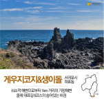 제주에서 가장 따뜻한 마을…감귤과 돌담이 어우러진 제주 효돈마을