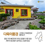 제주에서 가장 따뜻한 마을…감귤과 돌담이 어우러진 제주 효돈마을