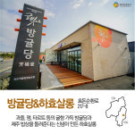 제주에서 가장 따뜻한 마을…감귤과 돌담이 어우러진 제주 효돈마을