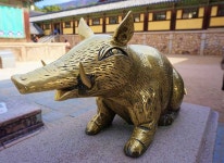 1월 여행 테마는 돼지… 황금돼지해 맞아 1월에 가볼 만한 돼지 테마 여행지 7곳