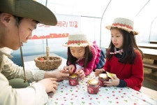 아이 동반해 호텔 갈 계획이세요? 영유아 동반 가족이 가면 좋은 국내 호텔 6곳
