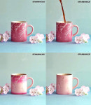 커피와 벚꽃의 만남, 뜨거운 물 부으면 벚꽃 나오는 스타벅스 요술컵 출시