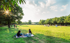 ‘어린이날 놀이한마당’, ‘초록놀이터’, ‘어린이 정원의 날’, ‘서울동화축제’, 서울 서커스 페스티벌 등 서울 어린이날 가 볼만한 곳