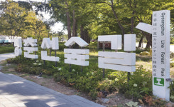 주말에 경춘선 숲길을 걸어볼까... 총 6km 전 구간 개통