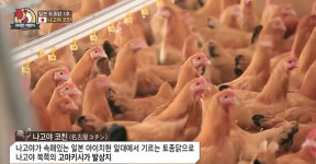 우리는 치킨을 얼마나 알고 있을까?