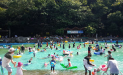 [올여름 여기 어때] 휴양림에서 맑은 공기 마시며 물놀이 즐기자 성주산 자연휴양림