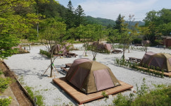 1박에 2만5천원…캠핑장으로 변신한 지방폐교 8곳