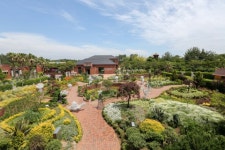 9월 제주도 가볼 만한 곳…꽃과 허브, 야경까지 즐길 수 있는 제주허브동산