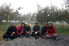 [과일 명인③] 단감명인 강창국대표, 전국구 스타농장을 넘어 ‘세계로 향하는 농장’으로 성장!