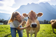코로나 끝나면 여기 갈까? 아름다운 산들의 파노라마가 눈길을 사로잡는 잘츠부르크 고원 목장