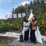 올여름 제주도 가볼만한 곳…청정제주에서 힐링하기 좋은 제주 웰니스관광지