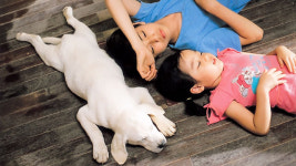 동물들의 메소드급 연기에 빠져볼까? 왓챠, 주말 추천 영화 6편